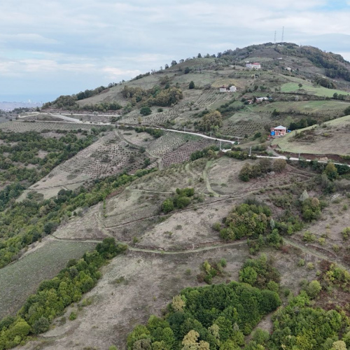 CBPARK ERMAN AKINCI CANİK AVLUCA MH 8350M2 SATILIK TARLA HİSSESİ