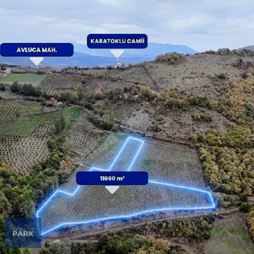 CB PARK ERMAN AKINCI CANİK AVLUCA 11660M2 SATILIK FINDIK BAHÇESİ