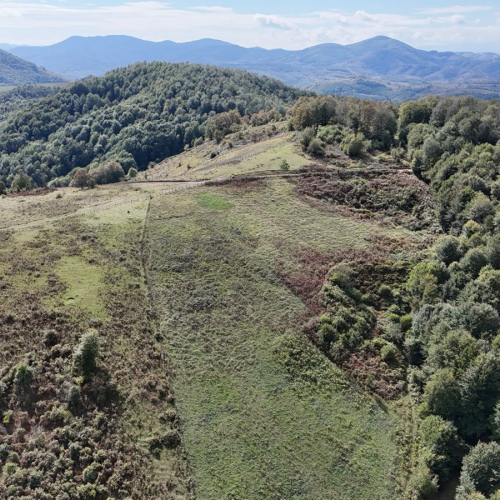 CB PARK ERMAN AKINCI CANİK AVLUCA 5894M2 SATILIK TARLA